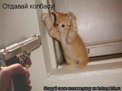 Отдавай колбасу!... Котоматрица: Отдавай колбасу!