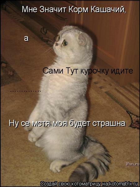 а Сами Тут курочку идите .............. Ну се мстя моя будет страшна Мне Значит Корм Кашачий,... Котоматрица: а Сами Тут курочку идите .............. Ну се мстя моя будет страшна Мне Значит Корм Кашачий,