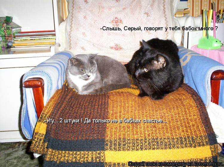 -Слышь, Серый, говорят у тебя бабок много ? -Угу... 2 штуки ! Да только не в бабках счастье...... Котоматрица: -Слышь, Серый, говорят у тебя бабок много ? -Угу... 2 штуки ! Да только не в бабках счастье...