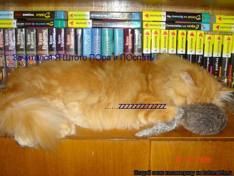 Зачитался Я Штото ПОра и ПОспать ......zzzzzzzzzzzz... Котоматрица: Зачитался Я Штото ПОра и ПОспать ......zzzzzzzzzzzz