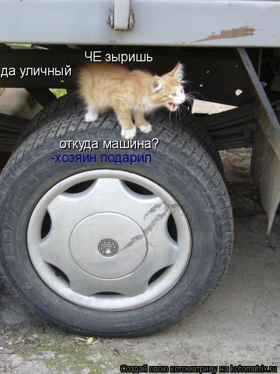 ЧЕ зыришь да уличный откуда машина? -хозяин подарил... Котоматрица: ЧЕ зыришь да уличный откуда машина? -хозяин подарил
