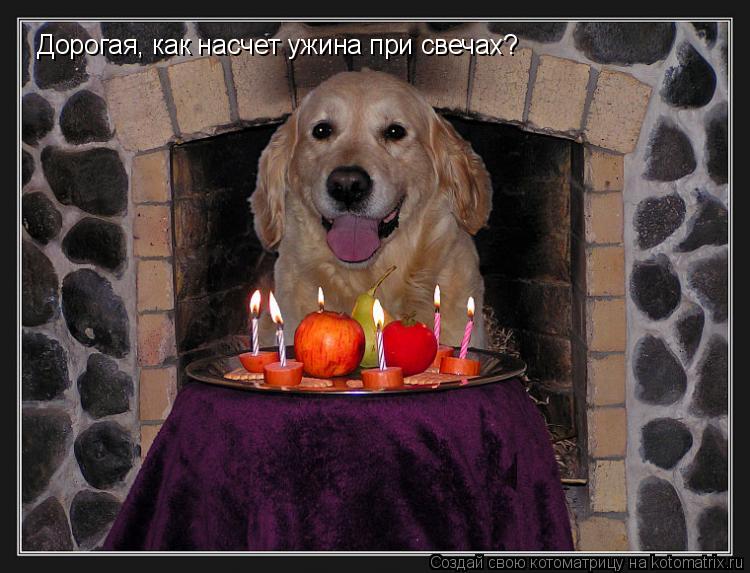 Дорогая, как насчет ужина при свечах?... Котоматрица: Дорогая, как насчет ужина при свечах?