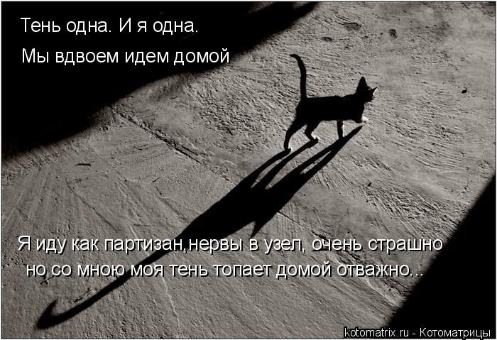 Тень одна. И я одна. Мы вдвоем идем домой Я иду как партизан,нервы в узел, очень страшно но со мною м... Котоматрица: Тень одна. И я одна. Мы вдвоем идем домой Я иду как партизан,нервы в узел, очень страшно но со мною моя тень топает домой отважно...
