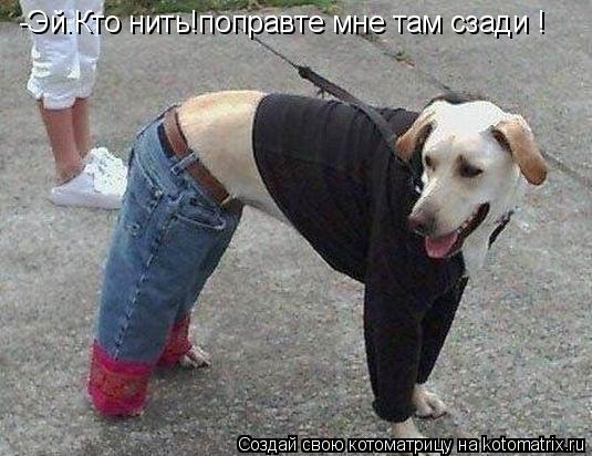 -Эй.Кто нить!поправте мне там сзади !... Котоматрица: -Эй.Кто нить!поправте мне там сзади !