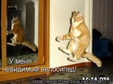 У меня невидимый велосипед!... Котоматрица: У меня невидимый велосипед!