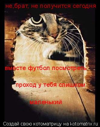 не,брат, не получится сегодня вместе футбол посмотреть проход у тебя слишком маленький... Котоматрица: не,брат, не получится сегодня вместе футбол посмотреть проход у тебя слишком маленький
