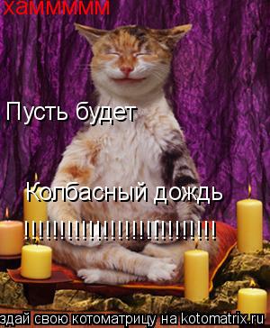 хаммммм Пусть будет Колбасный дождь !!!!!!!!!!!!!!!!!!!!!!!!!!!... Котоматрица: хаммммм Пусть будет Колбасный дождь !!!!!!!!!!!!!!!!!!!!!!!!!!!