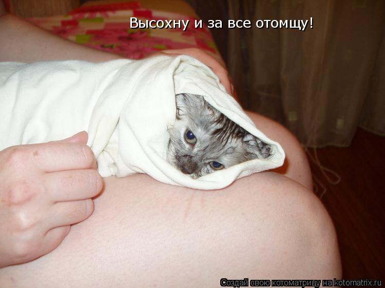 Высохну и за все отомщу!... Котоматрица: Высохну и за все отомщу!