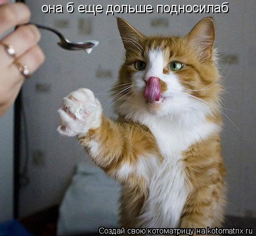 она б еще дольше подносилаб... Котоматрица: она б еще дольше подносилаб
