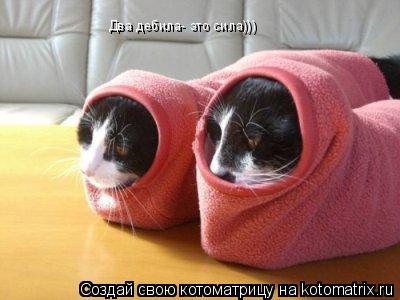 Два дебила- это сила))) Два дебила- это сила)))... Котоматрица: Два дебила- это сила))) Два дебила- это сила)))
