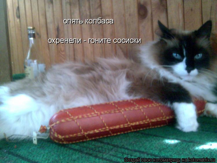 опять колбаса охренели - гоните сосиски... Котоматрица: опять колбаса охренели - гоните сосиски