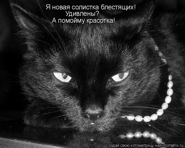 Я новая солистка блестящих! Удивлены? А помойму красотка!... Котоматрица: Я новая солистка блестящих! Удивлены? А помойму красотка!