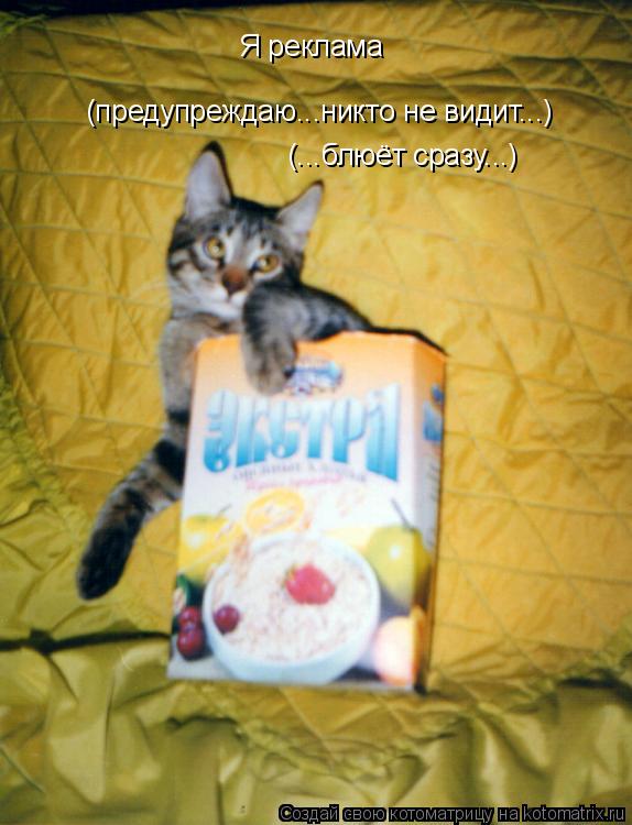 Я реклама (предупреждаю...никто не видит...) (...блюёт сразу...)... Котоматрица: Я реклама (предупреждаю...никто не видит...) (...блюёт сразу...)