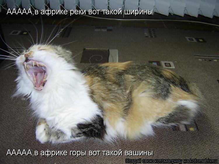 ААААА,в африке реки вот такой ширины ААААА,в африке горы вот такой вашины... Котоматрица: ААААА,в африке реки вот такой ширины ААААА,в африке горы вот такой вашины