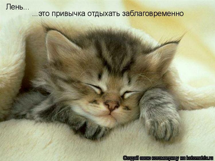 Лень... ...это привычка отдыхать заблаговременно... Котоматрица: Лень... ...это привычка отдыхать заблаговременно