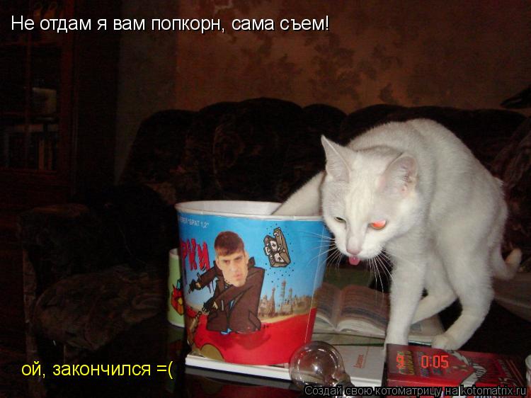 Не отдам я вам попкорн, сама съем! ой, закончился =(... Котоматрица: Не отдам я вам попкорн, сама съем! ой, закончился =(