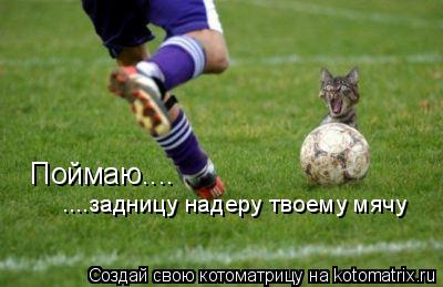 Поймаю.... ....задницу надеру твоему мячу... Котоматрица: Поймаю.... ....задницу надеру твоему мячу