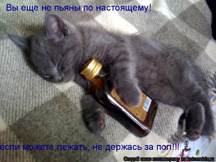 Вы еще не пьяны по настоящему! если можете лежать, не держась за пол!!!... Котоматрица: Вы еще не пьяны по настоящему! если можете лежать, не держась за пол!!!