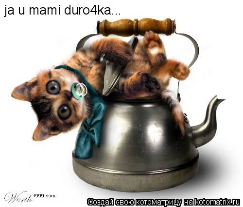 ja u mami duro4ka...... Котоматрица: ja u mami duro4ka...