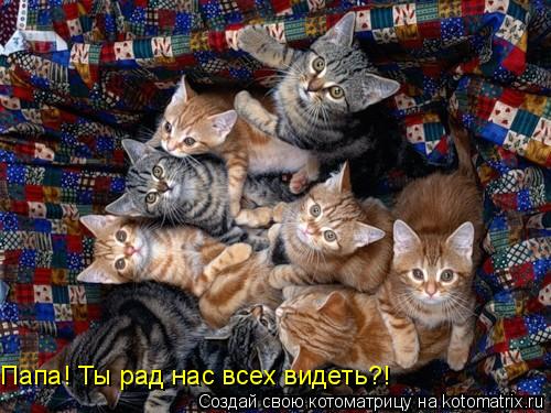 Папа! Ты рад нас всех видеть?!... Котоматрица: Папа! Ты рад нас всех видеть?!