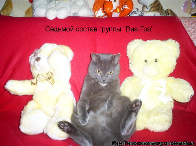 Седьмой состав группы "Виа Гра"... Котоматрица: Седьмой состав группы "Виа Гра"