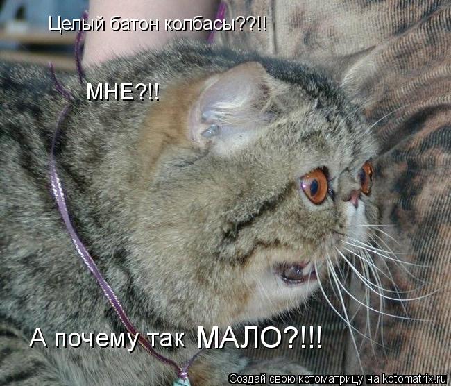 Целый батон колбасы??!! МНЕ?!! А почему так МАЛО?!!!... Котоматрица: Целый батон колбасы??!! МНЕ?!! А почему так МАЛО?!!!
