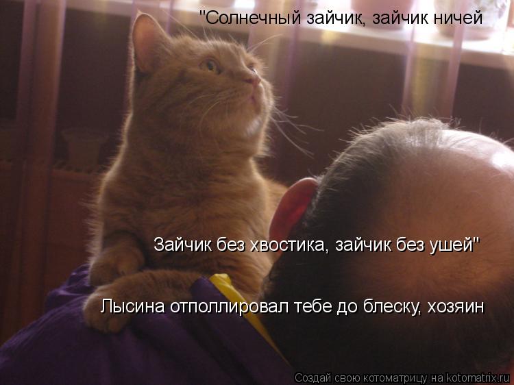 Лысина отполлировал тебе до блеску, хозяин Зайчик без хвостика, зайчик без ушей" "Солнечный зайчик, з... Котоматрица: Лысина отполлировал тебе до блеску, хозяин Зайчик без хвостика, зайчик без ушей" "Солнечный зайчик, зайчик ничей