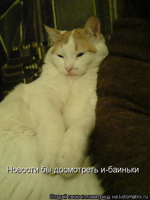 Новости бы досмотреть и-баиньки... Котоматрица: Новости бы досмотреть и-баиньки