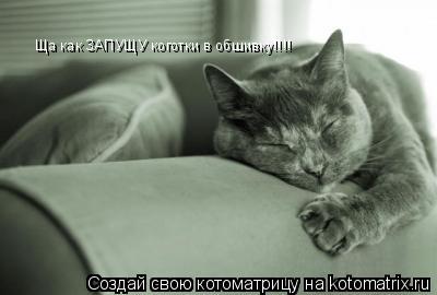 Ща как ЗАПУЩУ коготки в обшивку!!!! Ща как ЗАПУЩУ коготки в обшивку!!!!... Котоматрица: Ща как ЗАПУЩУ коготки в обшивку!!!! Ща как ЗАПУЩУ коготки в обшивку!!!!