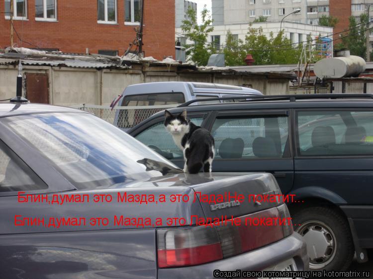 Блин,думал это Мазда,а это Лада!Не покатит... Блин,думал это Мазда,а это Лада!Не покатит...... Котоматрица: Блин,думал это Мазда,а это Лада!Не покатит... Блин,думал это Мазда,а это Лада!Не покатит...