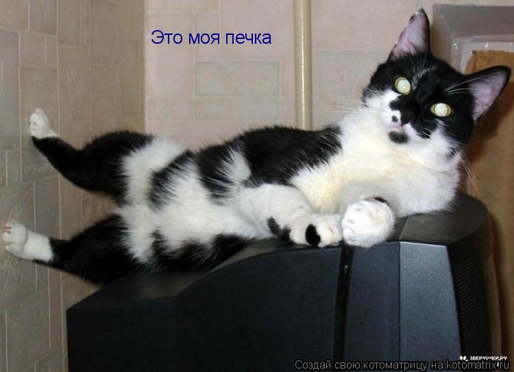 Это моя печка... Котоматрица: Это моя печка
