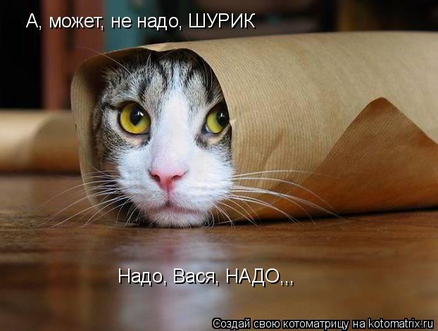 А, может, не надо, ШУРИК Надо, Вася, НАДО,,,... Котоматрица: А, может, не надо, ШУРИК Надо, Вася, НАДО,,,