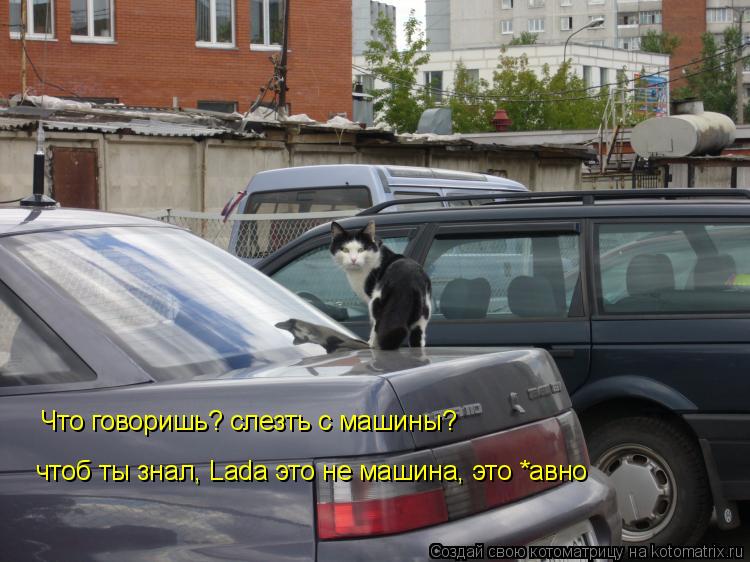 Что говоришь? слезть с машины? чтоб ты знал, Lada это не машина, это *авно... Котоматрица: Что говоришь? слезть с машины? чтоб ты знал, Lada это не машина, это *авно