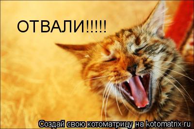 ОТВАЛИ!!!!!... Котоматрица: ОТВАЛИ!!!!!