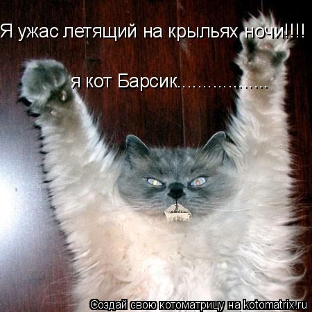 Я ужас летящий на крыльях ночи!!!! я кот Барсик..................... Котоматрица: Я ужас летящий на крыльях ночи!!!! я кот Барсик..................