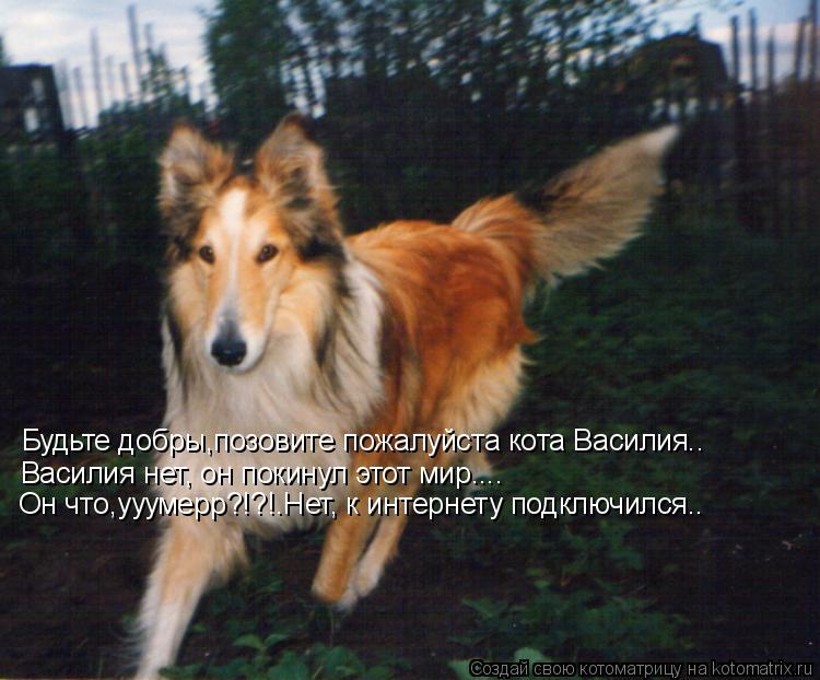 Будьте добры,позовите пожалуйста кота Василия.. Василия нет, он покинул этот мир.... Он что,ууумерр?!... Котоматрица: Будьте добры,позовите пожалуйста кота Василия.. Василия нет, он покинул этот мир.... Он что,ууумерр?!?!.Нет, к интернету подключился..