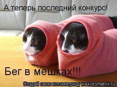 А теперь последний конкурс! Бег в мешках!!!... Котоматрица: А теперь последний конкурс! Бег в мешках!!!