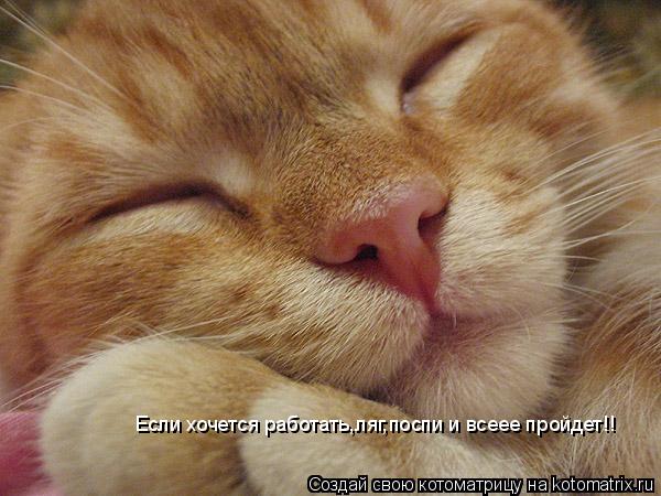 Если хочется работать,ляг,поспи и всеее пройдет!!... Котоматрица: Если хочется работать,ляг,поспи и всеее пройдет!!