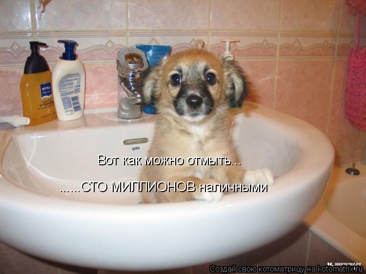 Вот как можно отмыть... ......СТО МИЛЛИОНОВ наличными... Котоматрица: Вот как можно отмыть... ......СТО МИЛЛИОНОВ наличными