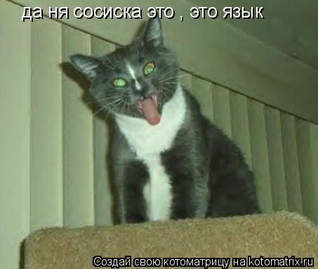 да ня сосиска это , это язык... Котоматрица: да ня сосиска это , это язык