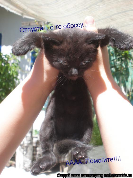 Отпусти ...о то обоссу.... АААА..Помогите!!!!... Котоматрица: Отпусти ...о то обоссу.... АААА..Помогите!!!!