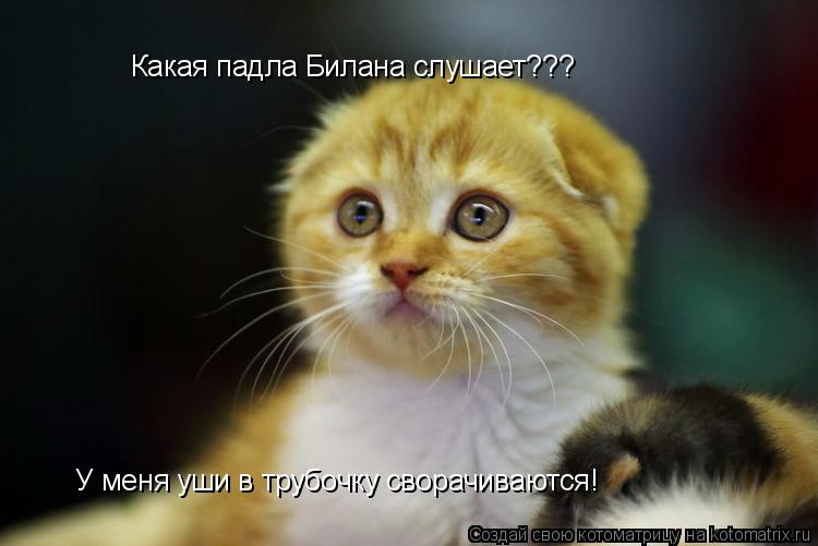 Какая падла Билана слушает??? Какая падла Билана слушает??? У меня уши в трубочку сворачиваются!... Котоматрица: Какая падла Билана слушает??? Какая падла Билана слушает??? У меня уши в трубочку сворачиваются!