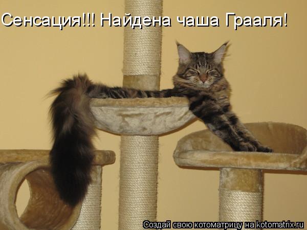 Сенсация!!! Найдена чаша Грааля!... Котоматрица: Сенсация!!! Найдена чаша Грааля!