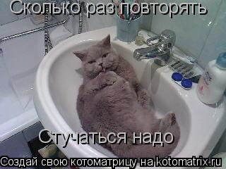 Сколько раз повторять Стучаться надо... Котоматрица: Сколько раз повторять Стучаться надо