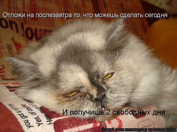 Отложи на послезавтра то, что можешь сделать сегодня И получишь 2 свободных дня... Котоматрица: Отложи на послезавтра то, что можешь сделать сегодня И получишь 2 свободных дня
