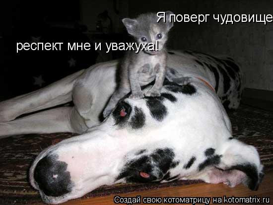 Я поверг чудовище, респект мне и уважуха! респект мне и уважуха!... Котоматрица: Я поверг чудовище, респект мне и уважуха! респект мне и уважуха!