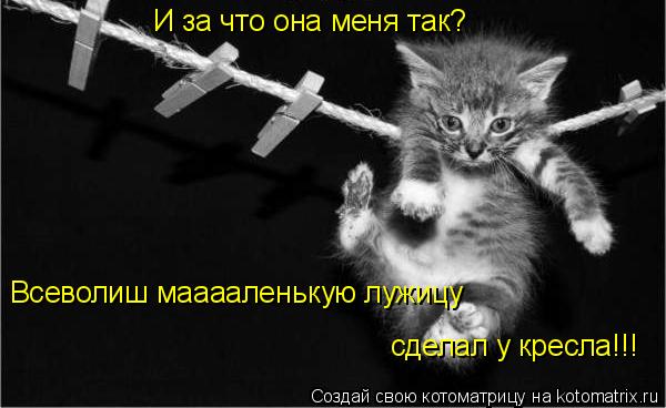 И за что она меня так? Всеволиш мааааленькую лужицу сделал у кресла!!!... Котоматрица: И за что она меня так? Всеволиш мааааленькую лужицу сделал у кресла!!!