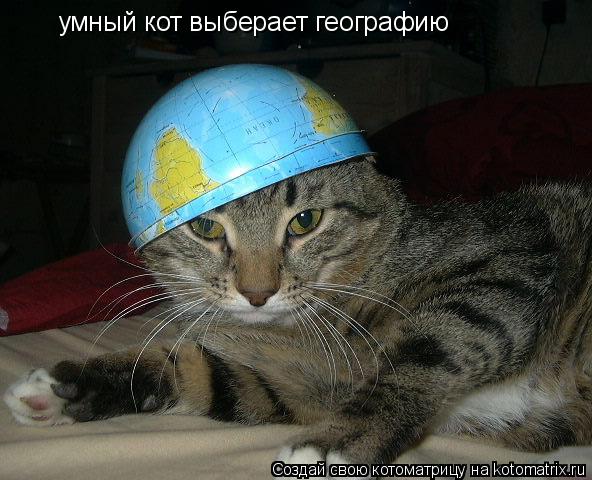 умный кот выберает географию... Котоматрица: умный кот выберает географию