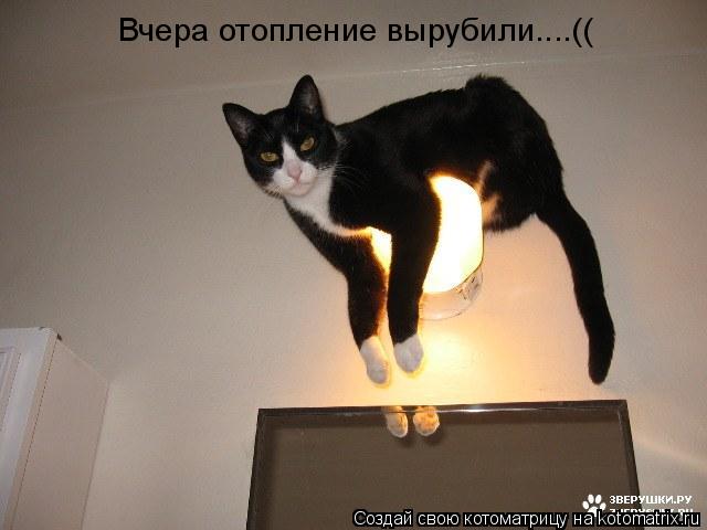 Вчера отопление вырубили....((... Котоматрица: Вчера отопление вырубили....((