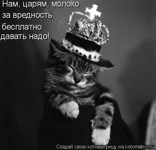 Нам, царям, молоко за вредность бесплатно давать надо!... Котоматрица: Нам, царям, молоко за вредность бесплатно давать надо!